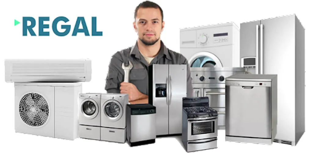 Dünya Kavşağı Regal Servis